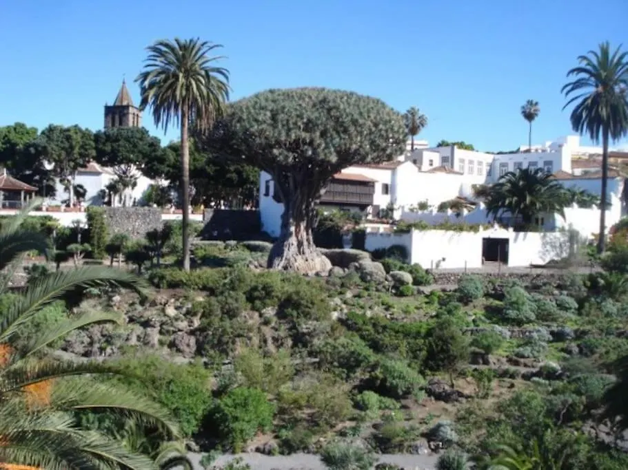 Casa Mannheim Villa Icod De Los Vinos Spain